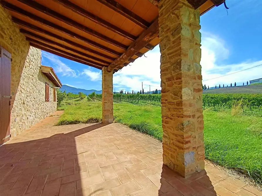Immagine 20 di Azienda agricola in vendita  a Castel Del Piano