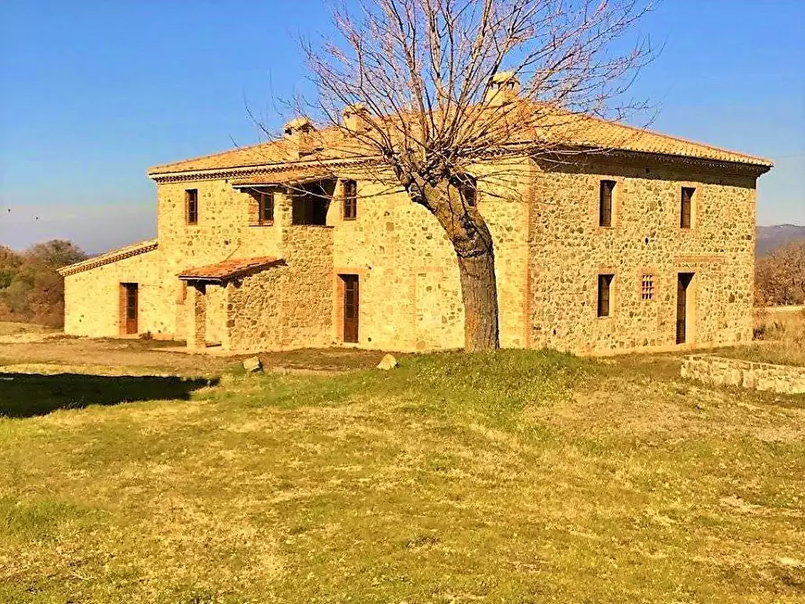 Immagine 6 di Azienda agricola in vendita  a Castel Del Piano