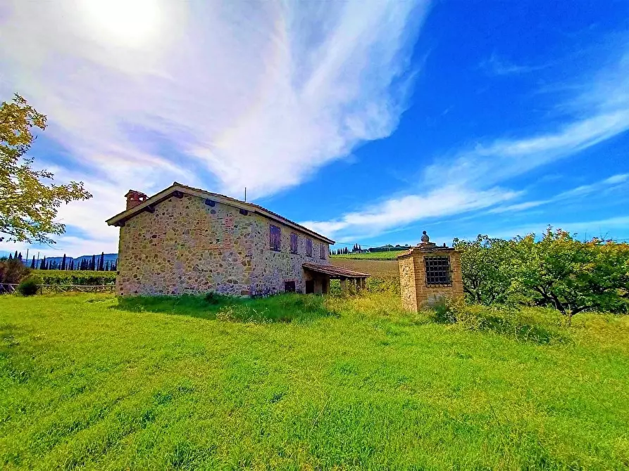 Immagine 13 di Azienda agricola in vendita  a Castel Del Piano