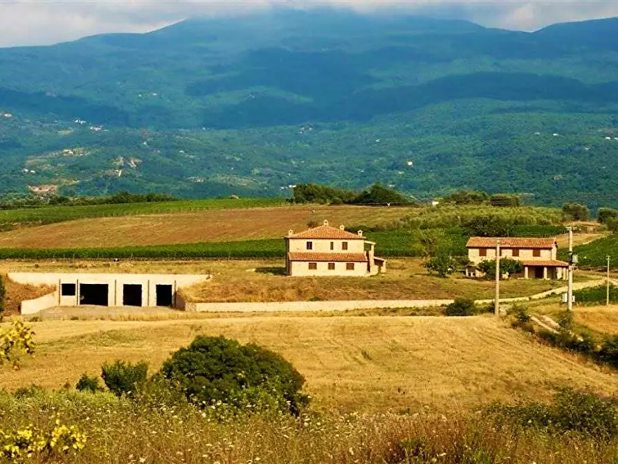 Immagine 23 di Azienda agricola in vendita  a Castel Del Piano