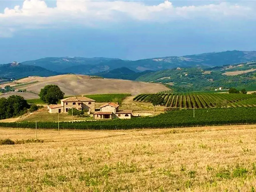 Immagine 22 di Azienda agricola in vendita  a Castel Del Piano