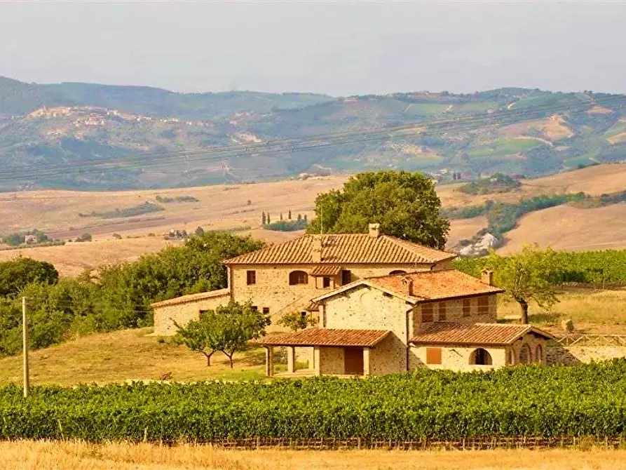 Immagine 21 di Azienda agricola in vendita  a Castel Del Piano