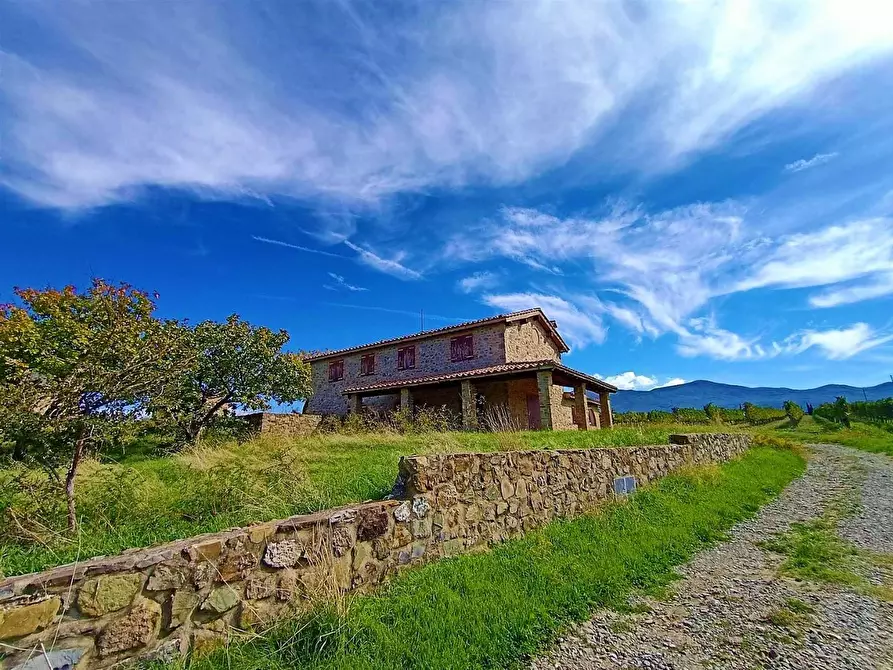 Immagine 14 di Azienda agricola in vendita  a Castel Del Piano