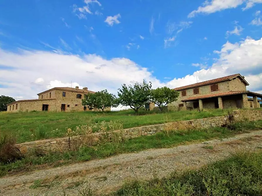 Immagine 9 di Azienda agricola in vendita  a Castel Del Piano