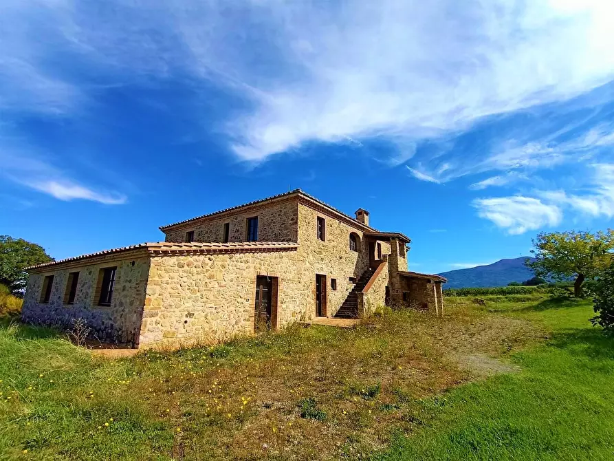 Immagine 17 di Azienda agricola in vendita  a Castel Del Piano
