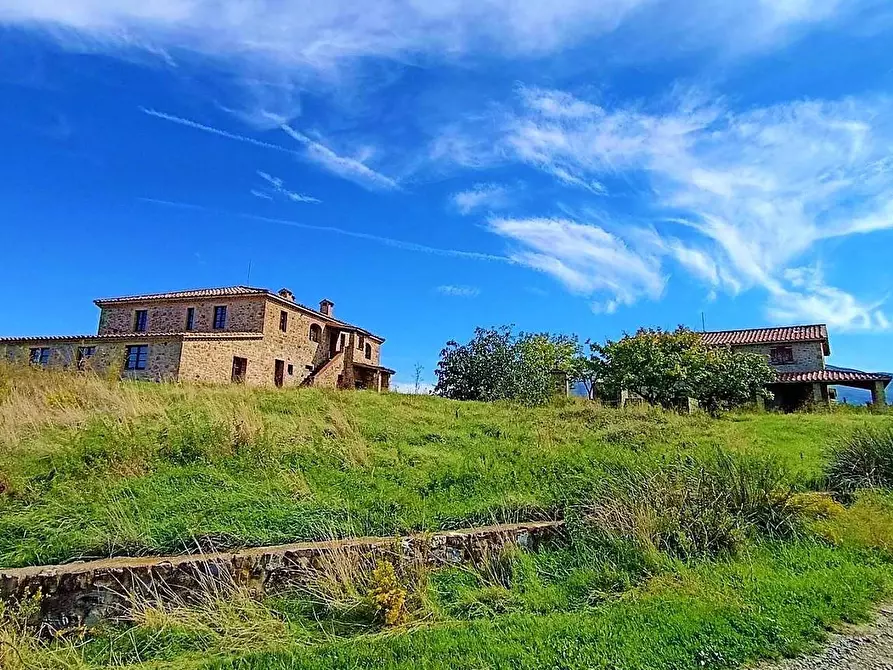 Immagine 10 di Azienda agricola in vendita  a Castel Del Piano