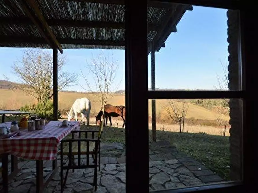 Immagine 11 di Casa colonica in vendita  a Casole D'elsa