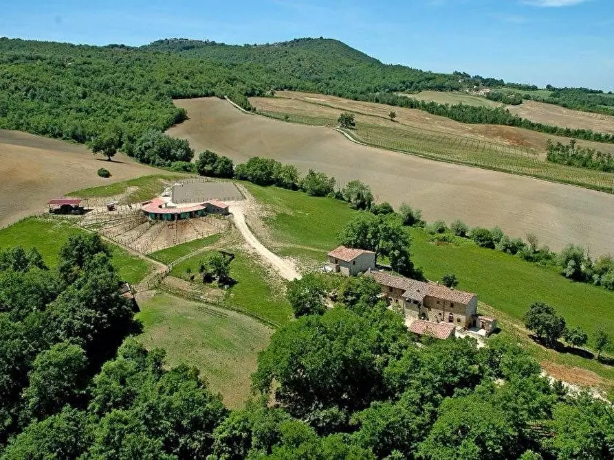 Immagine 4 di Casa colonica in vendita  a Casole D'elsa