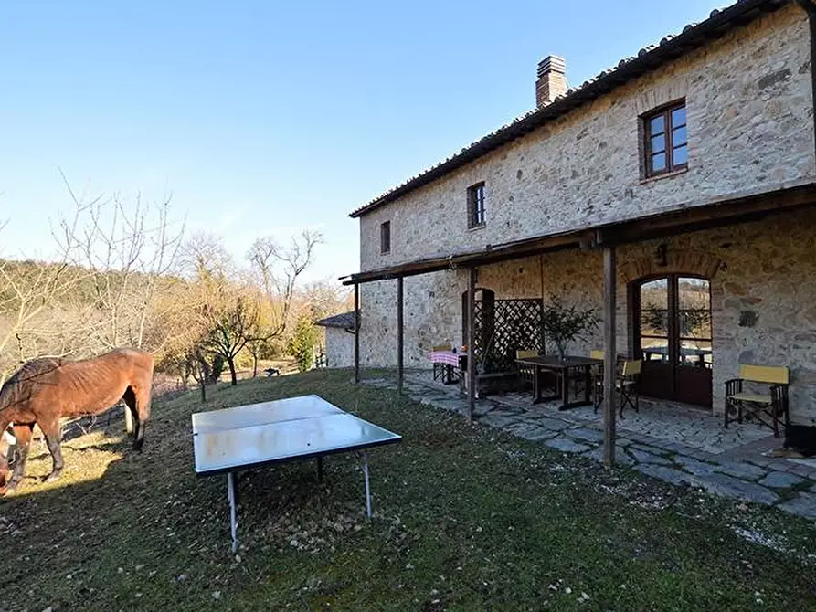 Immagine 3 di Casa colonica in vendita  a Casole D'elsa