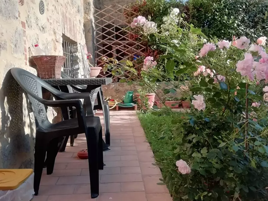 Immagine 31 di Porzione di casa in vendita  a Casole D'elsa