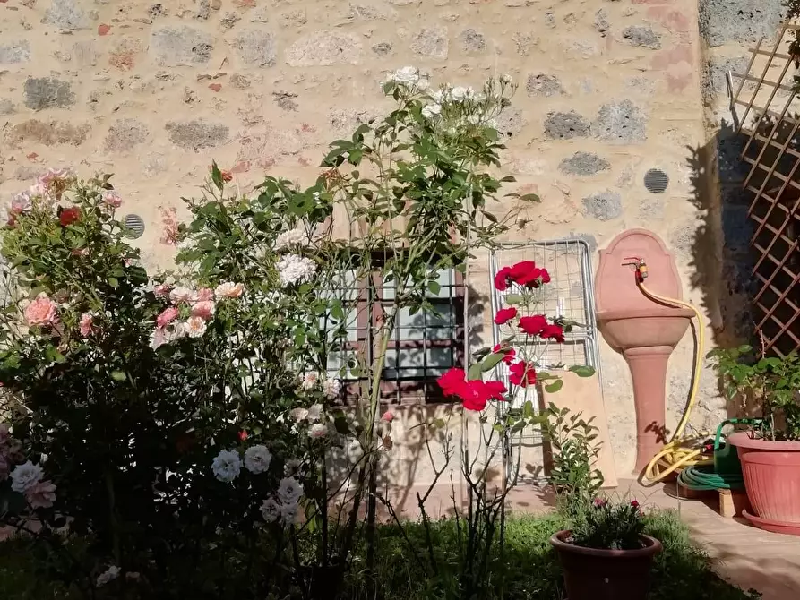 Immagine 20 di Porzione di casa in vendita  a Casole D'elsa