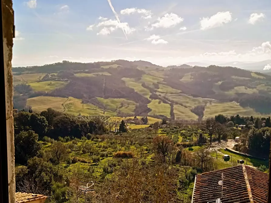 Immagine 21 di Porzione di casa in vendita  a Radicondoli
