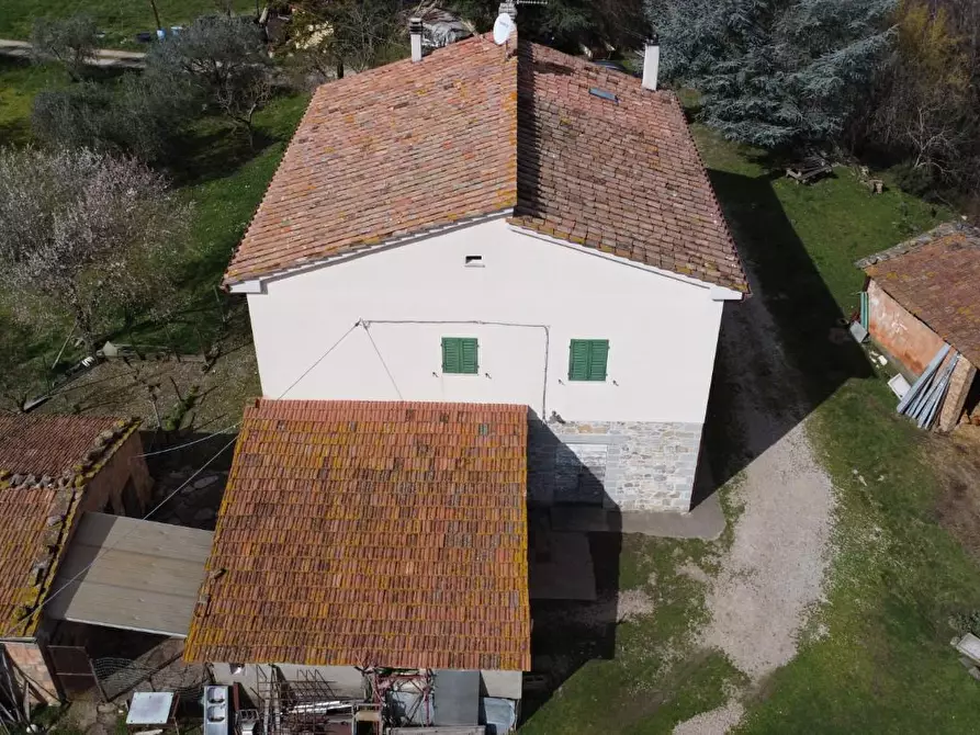 Immagine 5 di Casa colonica in vendita  a Castelnuovo Val Di Cecina