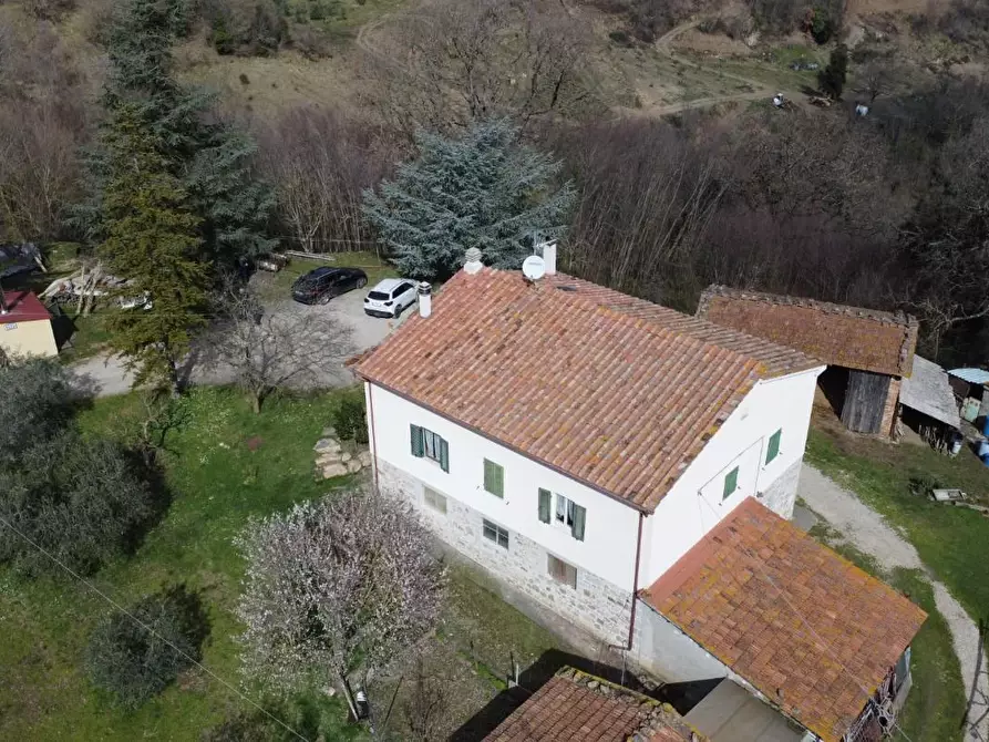 Immagine 4 di Casa colonica in vendita  a Castelnuovo Val Di Cecina