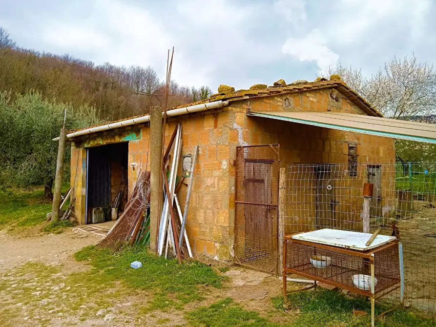Immagine 17 di Casa colonica in vendita  a Castelnuovo Val Di Cecina