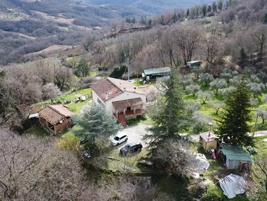 Immagine 2 di Casa colonica in vendita  a Castelnuovo Val Di Cecina
