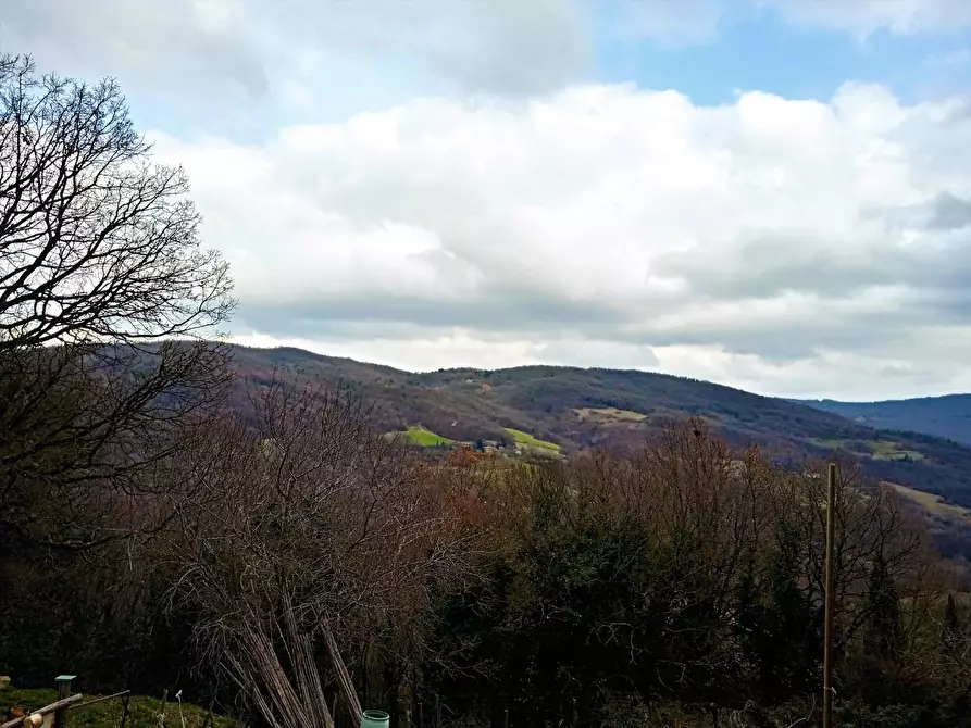 Immagine 30 di Casa colonica in vendita  a Castelnuovo Val Di Cecina