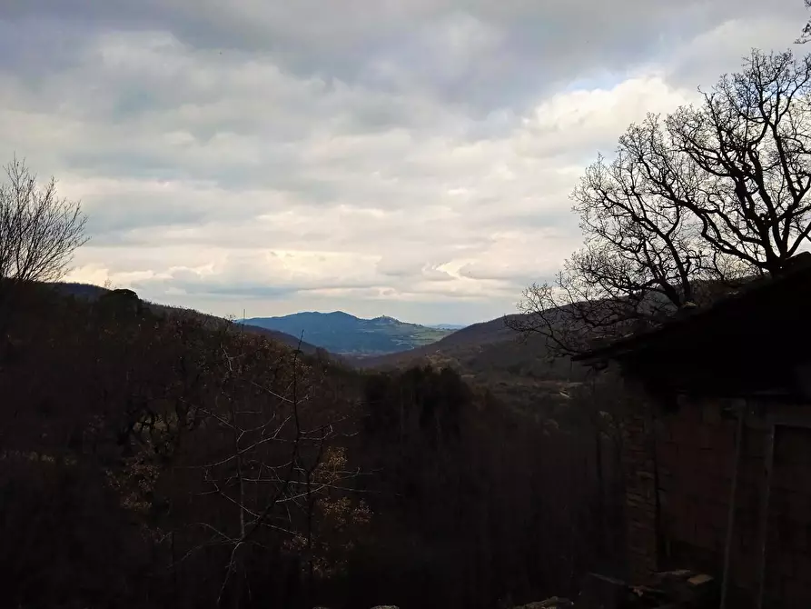 Immagine 32 di Casa colonica in vendita  a Castelnuovo Val Di Cecina