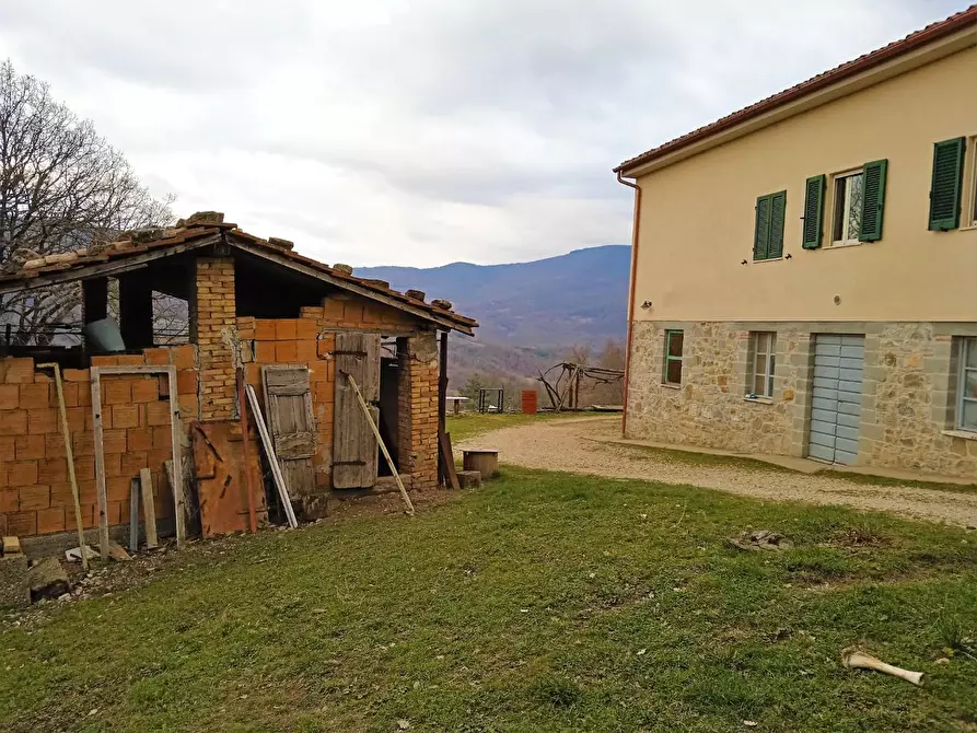 Immagine 10 di Casa colonica in vendita  a Castelnuovo Val Di Cecina