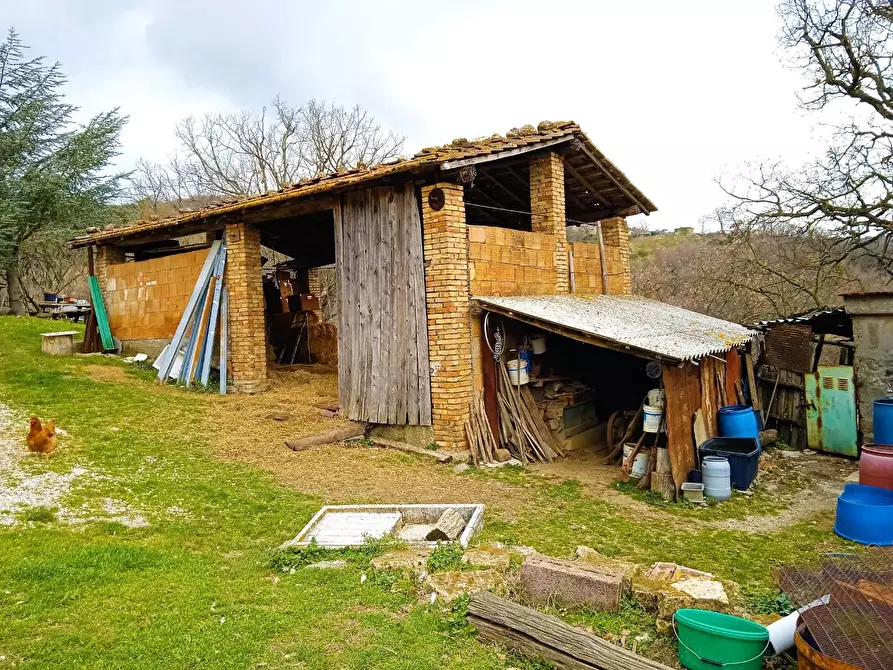 Immagine 12 di Casa colonica in vendita  a Castelnuovo Val Di Cecina