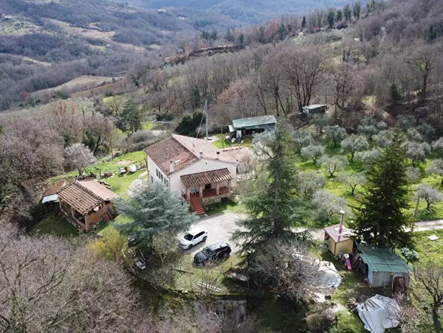 casa indipendente in vendita a Cecina