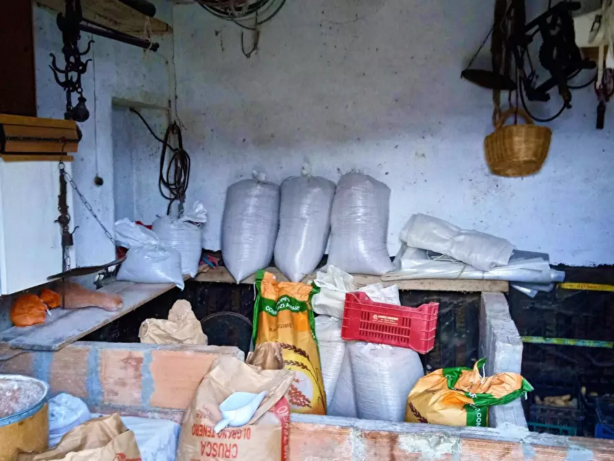 Immagine 28 di Casa colonica in vendita  a Castelnuovo Val Di Cecina