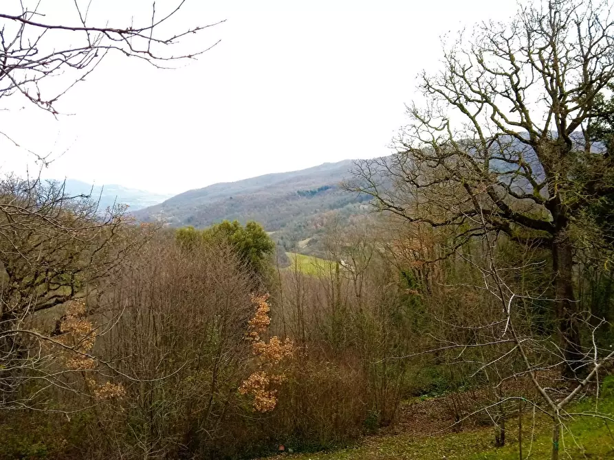 Immagine 33 di Casa colonica in vendita  a Castelnuovo Val Di Cecina