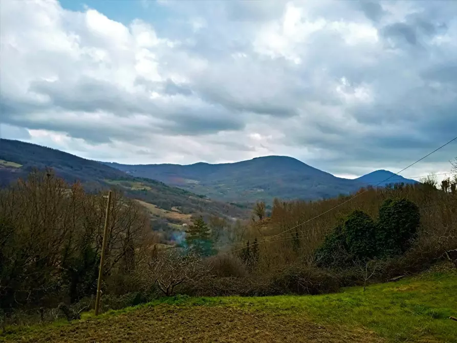 Immagine 31 di Casa colonica in vendita  a Castelnuovo Val Di Cecina