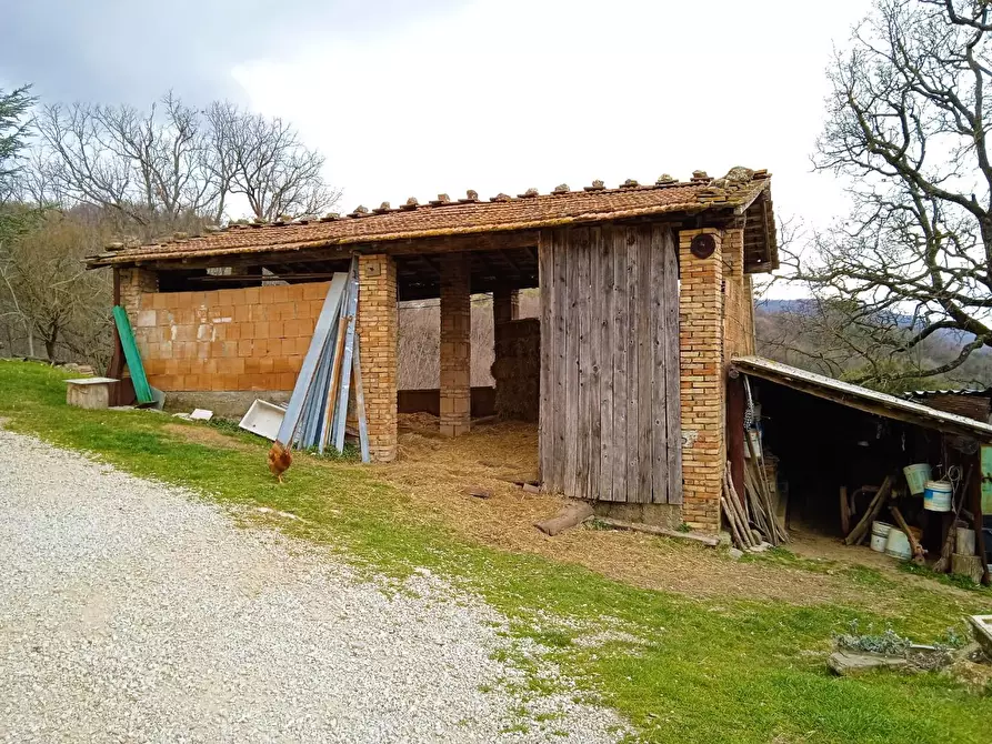 Immagine 11 di Casa colonica in vendita  a Castelnuovo Val Di Cecina