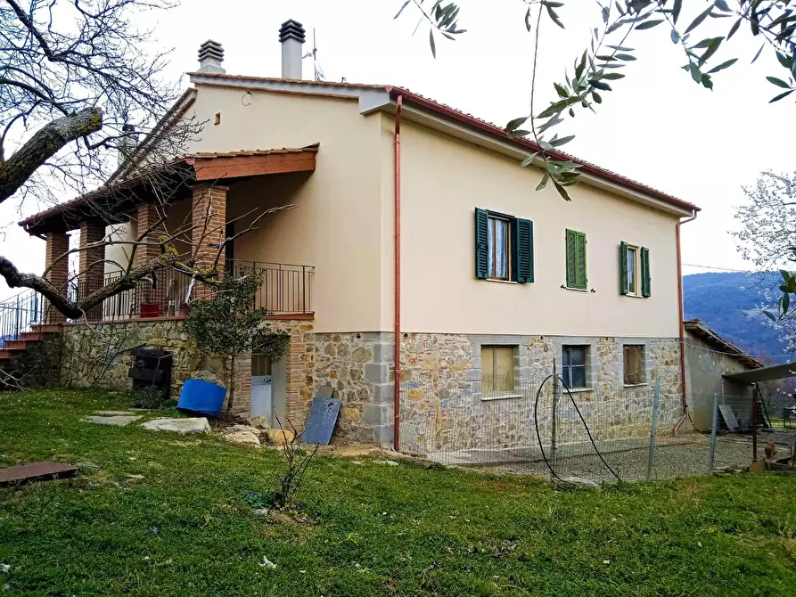Immagine 8 di Casa colonica in vendita  a Castelnuovo Val Di Cecina