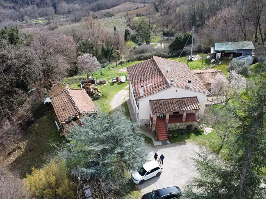 Immagine 3 di Casa colonica in vendita  a Castelnuovo Val Di Cecina