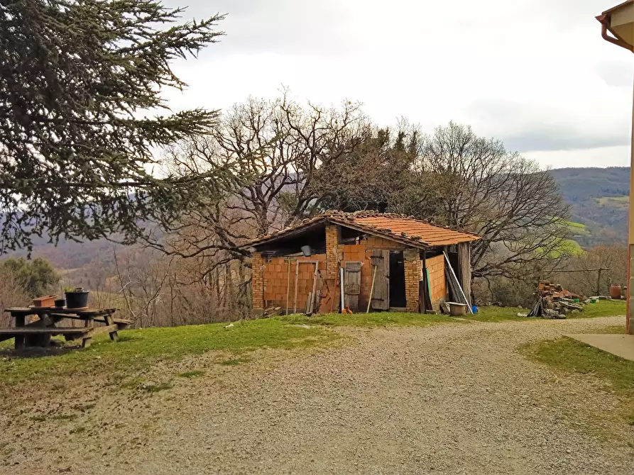 Immagine 13 di Casa colonica in vendita  a Castelnuovo Val Di Cecina