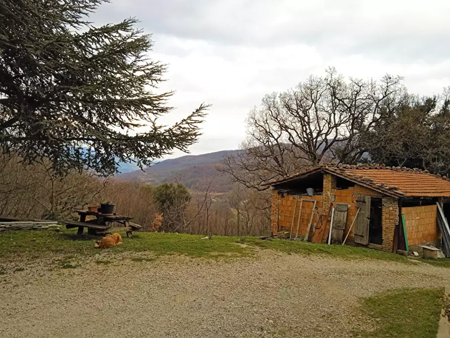 Immagine 15 di Casa colonica in vendita  a Castelnuovo Val Di Cecina