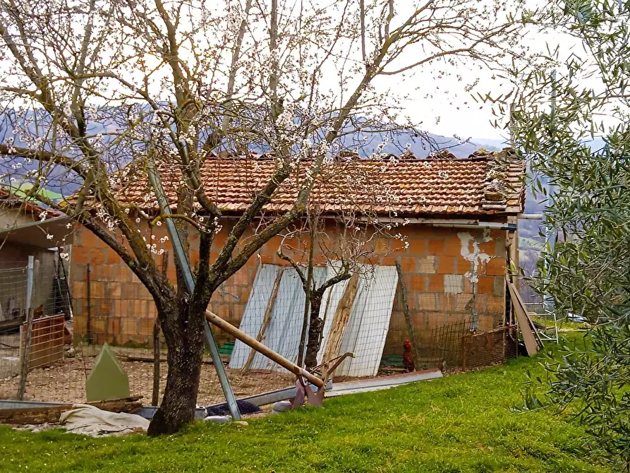 Immagine 14 di Casa colonica in vendita  a Castelnuovo Val Di Cecina