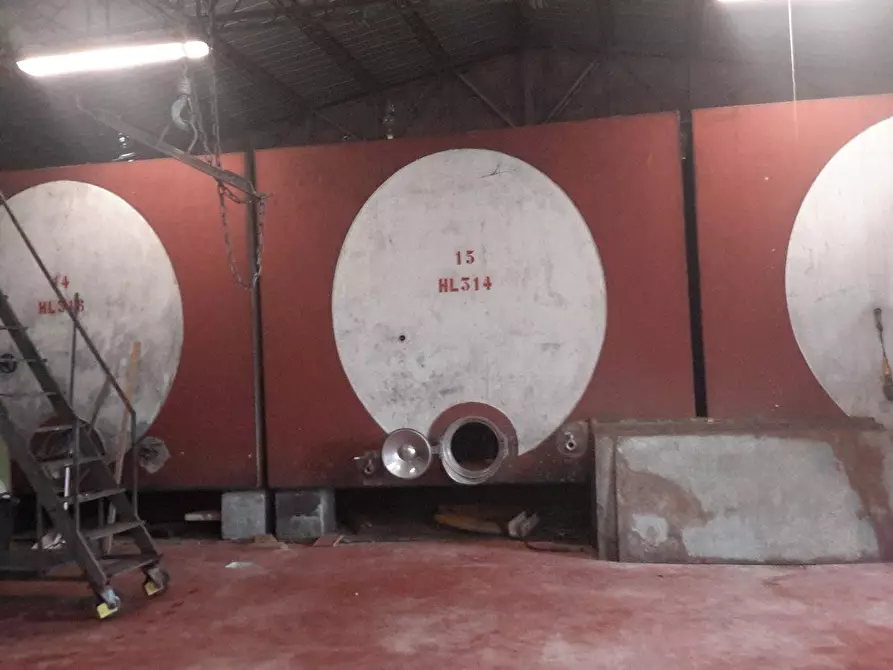 Immagine 11 di Casa colonica in vendita  a Murlo