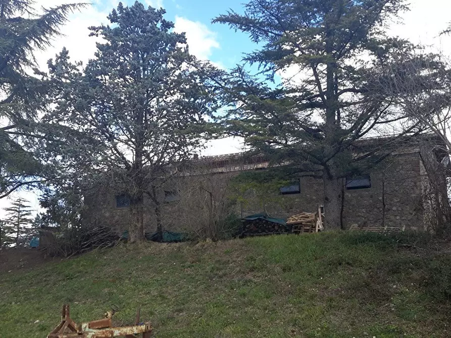 Immagine 13 di Casa colonica in vendita  a Murlo