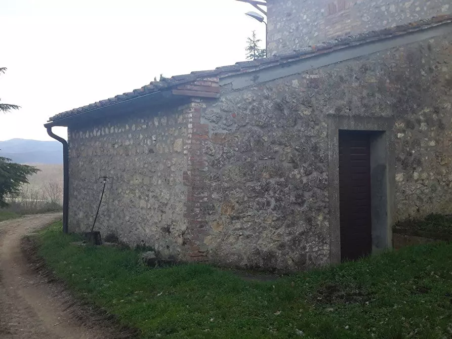 Immagine 19 di Casa colonica in vendita  a Murlo