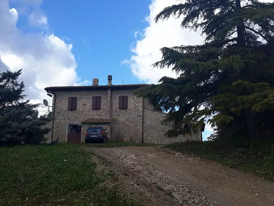 Immagine 15 di Casa colonica in vendita  a Murlo