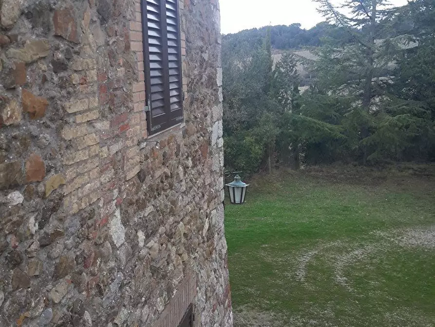 Immagine 7 di Casa colonica in vendita  a Murlo
