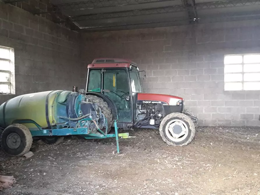 Immagine 17 di Casa colonica in vendita  a Murlo