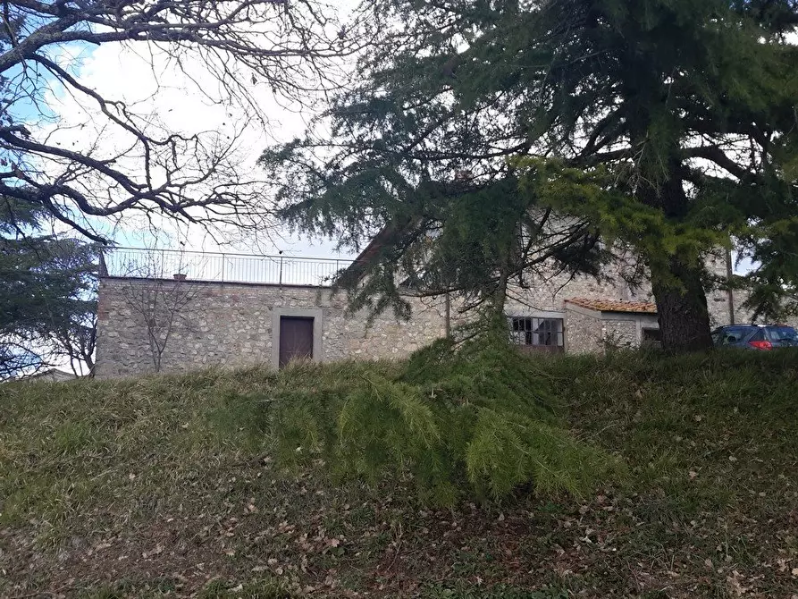 Immagine 14 di Casa colonica in vendita  a Murlo