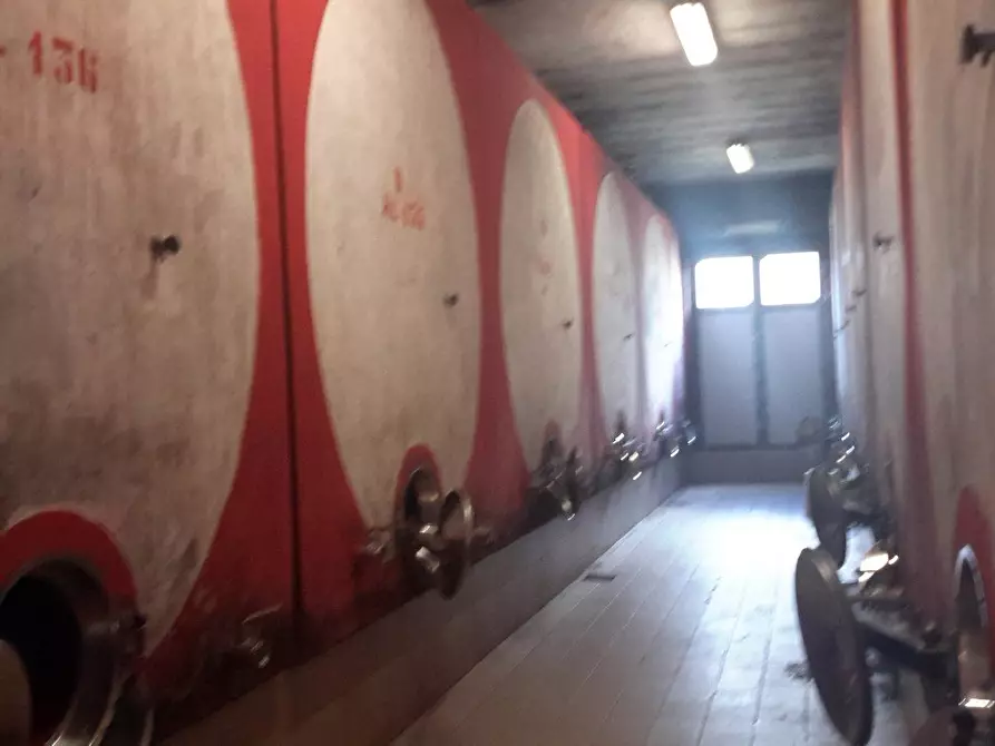 Immagine 12 di Casa colonica in vendita  a Murlo