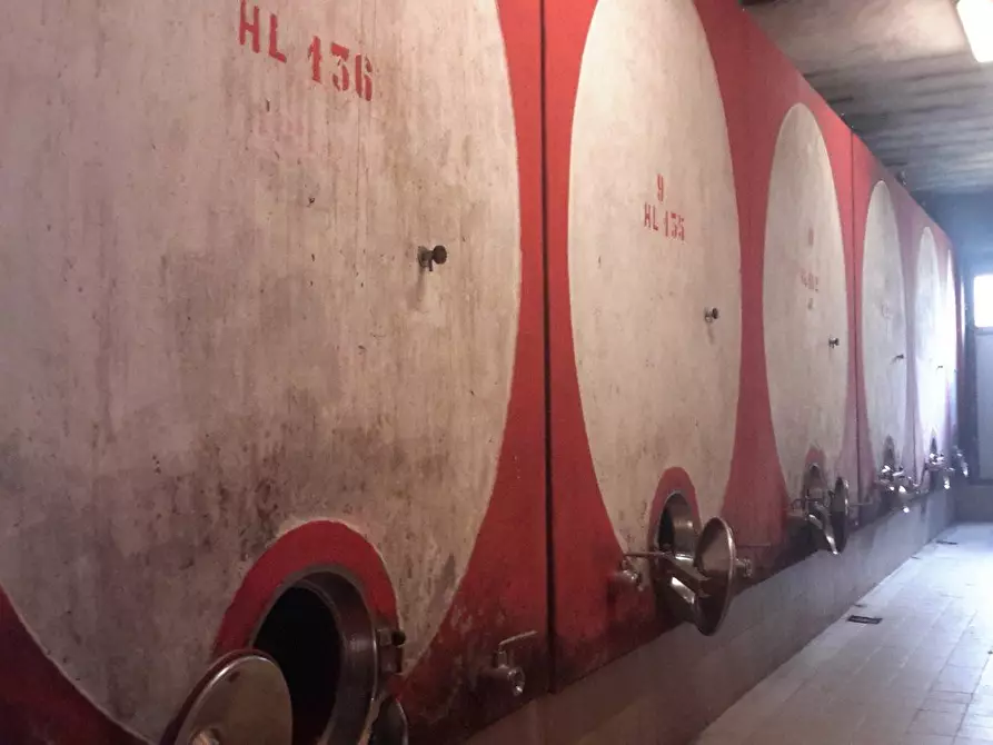 Immagine 10 di Casa colonica in vendita  a Murlo