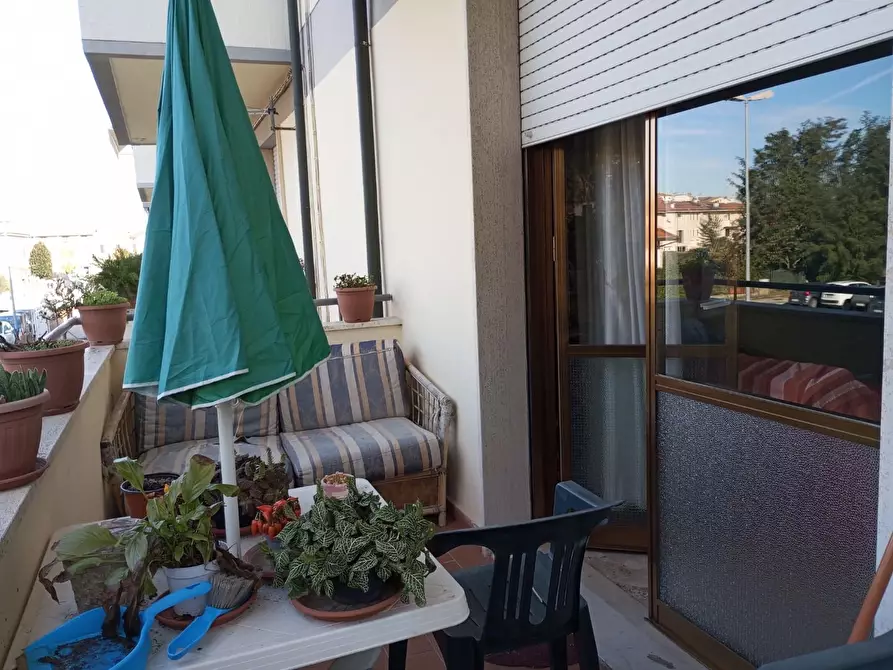 Immagine 3 di Appartamento in vendita  a San Miniato