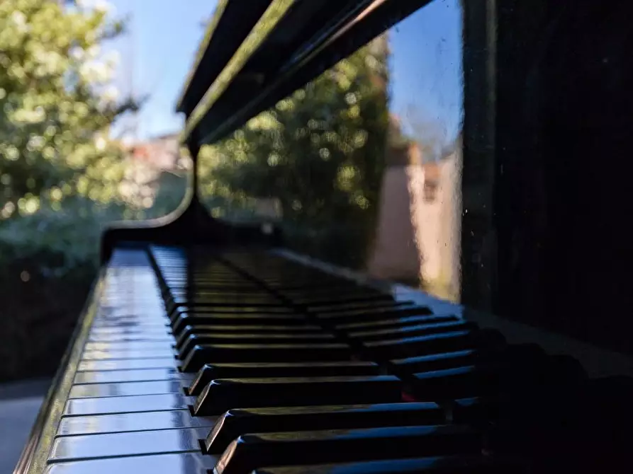 Immagine 9 di Villa in vendita  a Ponsacco