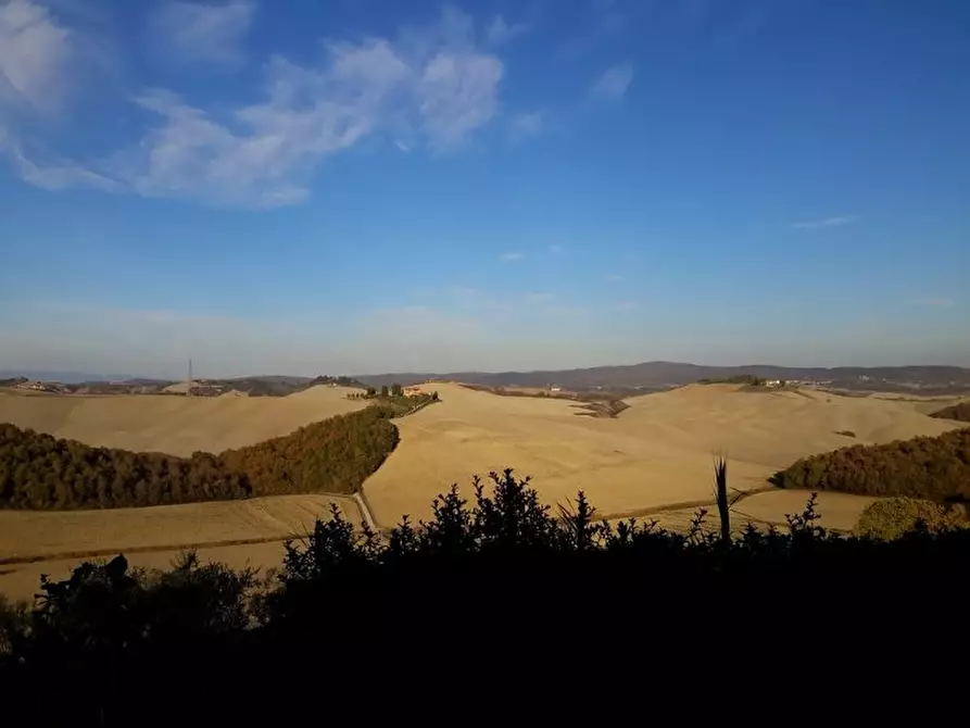 Immagine 1 di Casa colonica in vendita  a Asciano