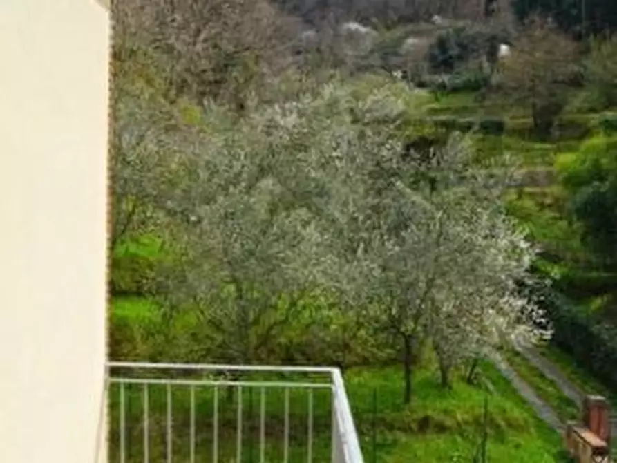 Immagine 23 di Rustico / casale in vendita  a San Giuliano Terme