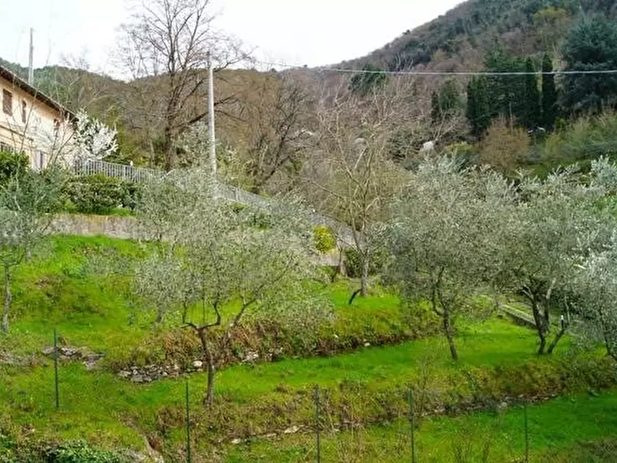 Immagine 7 di Rustico / casale in vendita  a San Giuliano Terme