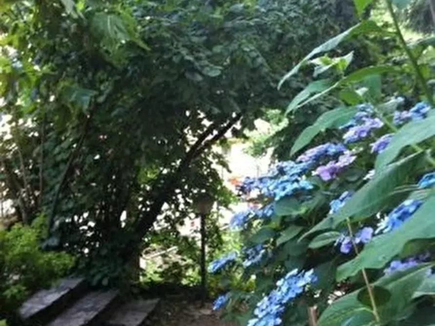 Immagine 6 di Rustico / casale in vendita  a San Giuliano Terme