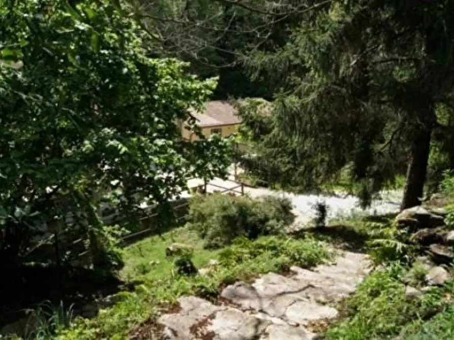 Immagine 15 di Rustico / casale in vendita  a San Giuliano Terme